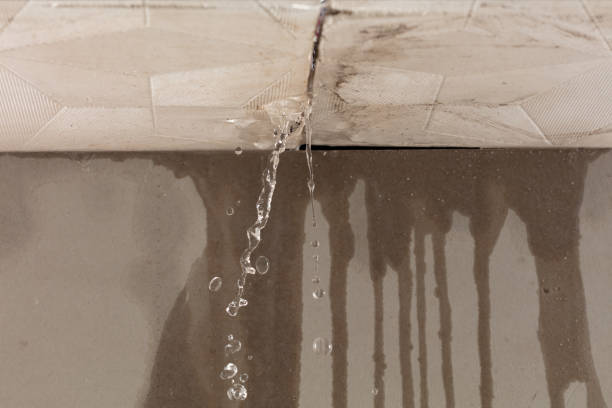 Professional Structural Drying technician working in Everglades City, FL